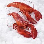 Two Cooked Lobsters on Ice-Jürgen Holz-Photographic Print