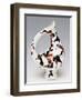 Jug-Shaped Vase, Polychrome Ceramic Decorated with Horse and Rider, Italy-null-Framed Giclee Print