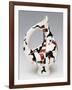 Jug-Shaped Vase, Polychrome Ceramic Decorated with Horse and Rider, Italy-null-Framed Giclee Print