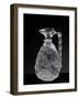 Jug with Handle, Rock Crystal and Gold Foil-null-Framed Giclee Print
