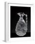 Jug with Handle, Rock Crystal and Gold Foil-null-Framed Giclee Print