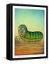 Juggling Caterpillar-Wayne Anderson-Framed Stretched Canvas