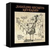 Juggling Secrets-Tim Nyberg-Framed Stretched Canvas