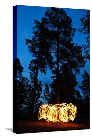 Stretched Canvas Print, , large