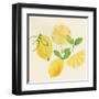 Juicy Fruits I-Isabelle Z-Framed Art Print