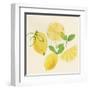 Juicy Fruits I-Isabelle Z-Framed Art Print