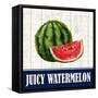 Juicy Watermelon-Kimberly Allen-Framed Stretched Canvas