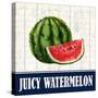 Juicy Watermelon-Kimberly Allen-Stretched Canvas