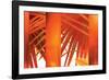 Juicy-Andrew Michaels-Framed Photographic Print