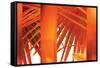 Juicy-Andrew Michaels-Framed Stretched Canvas