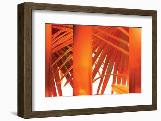 Juicy-Andrew Michaels-Framed Photographic Print