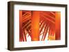 Juicy-Andrew Michaels-Framed Photographic Print