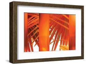 Juicy-Andrew Michaels-Framed Photographic Print