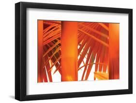 Juicy-Andrew Michaels-Framed Photographic Print