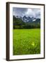 Juilan Alps Just Outside Kranjska Gora, Triglav National Park, Upper Carniola, Slovenia, Europe-Matthew Williams-Ellis-Framed Photographic Print