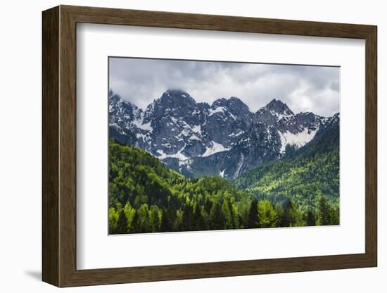 Juilan Alps Just Outside Kranjska Gora, Triglav National Park, Upper Carniola, Slovenia, Europe-Matthew Williams-Ellis-Framed Photographic Print