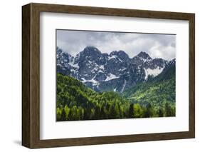 Juilan Alps Just Outside Kranjska Gora, Triglav National Park, Upper Carniola, Slovenia, Europe-Matthew Williams-Ellis-Framed Photographic Print