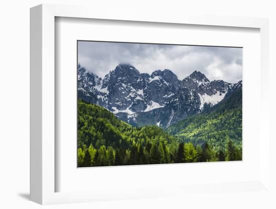 Juilan Alps Just Outside Kranjska Gora, Triglav National Park, Upper Carniola, Slovenia, Europe-Matthew Williams-Ellis-Framed Photographic Print