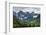 Juilan Alps Just Outside Kranjska Gora, Triglav National Park, Upper Carniola, Slovenia, Europe-Matthew Williams-Ellis-Framed Photographic Print