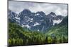 Juilan Alps Just Outside Kranjska Gora, Triglav National Park, Upper Carniola, Slovenia, Europe-Matthew Williams-Ellis-Mounted Photographic Print