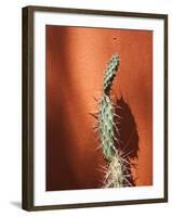 Jujuy Province, Quebrada De Humamuaca Canyon, Purmamarca, Cactus Plants, Argentina-Walter Bibikow-Framed Photographic Print