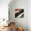 Jukebox III-Malcolm Sanders-Giclee Print displayed on a wall