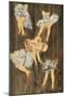 Wood Mount