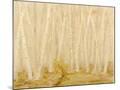 Wood Mount