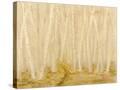 Stretched Canvas