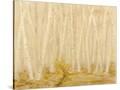 Stretched Canvas