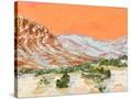 Stretched Canvas