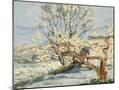 Wood Mount