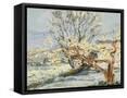 Framed Canvas