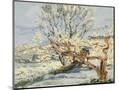 Wood Mount