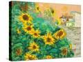 Stretched Canvas
