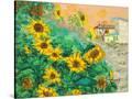 Stretched Canvas