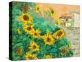 Stretched Canvas