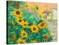 Stretched Canvas