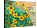 Stretched Canvas