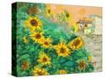Stretched Canvas