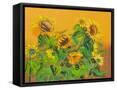 Framed Canvas