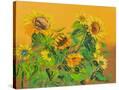 Stretched Canvas