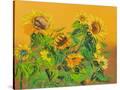 Stretched Canvas