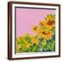 Brown Frame