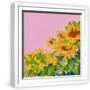 White Frame