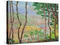 Stretched Canvas