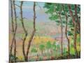 Wood Mount