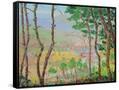 Canvas Black