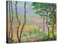 Stretched Canvas