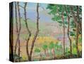 Stretched Canvas